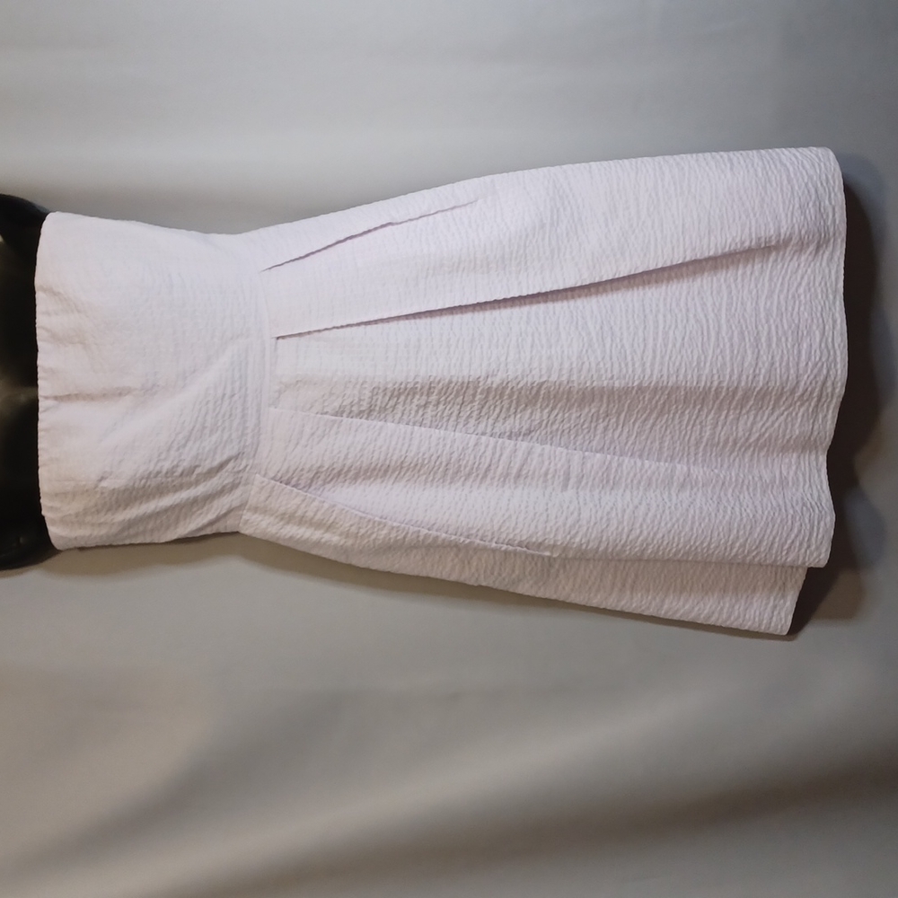 J.CREW. Lilac Color Strapless Pleated  Dress. Size 8